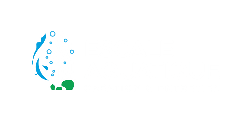 eaquatique 2